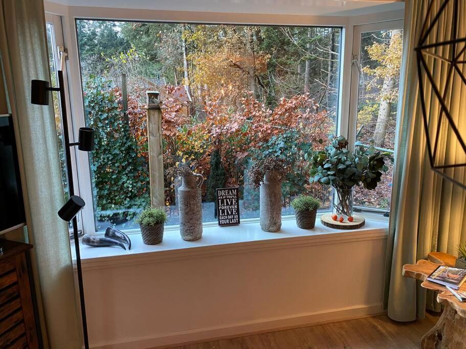 Op Boszicht Genieten Van De Rust & Natuur بوتِنْ المظهر الخارجي الصورة